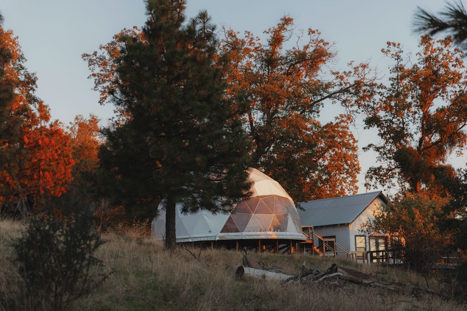 The Cloud, the camp's geodesic dome, among autumn trees